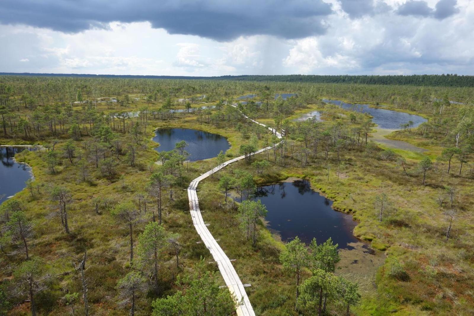 Kemeri Hotel In National Park - Free Parking Jurmala Exterior photo